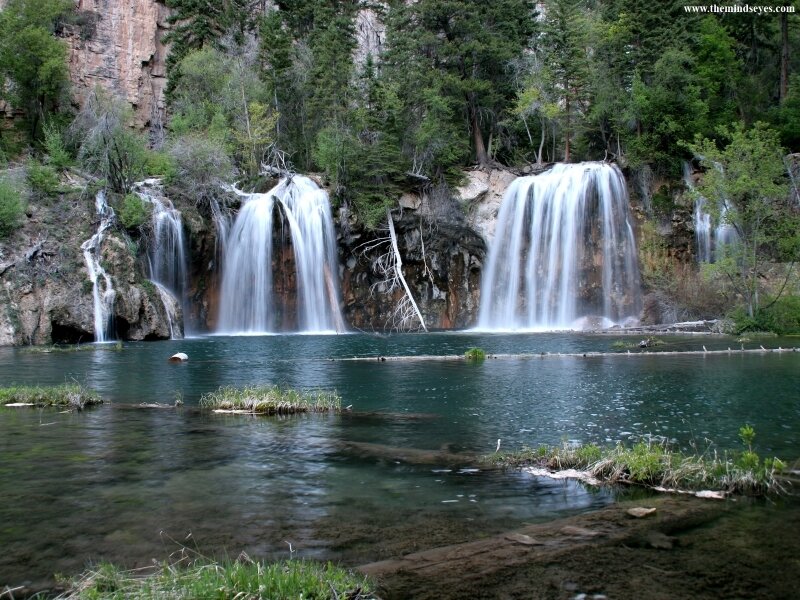 Waterfalls in a forested canyon