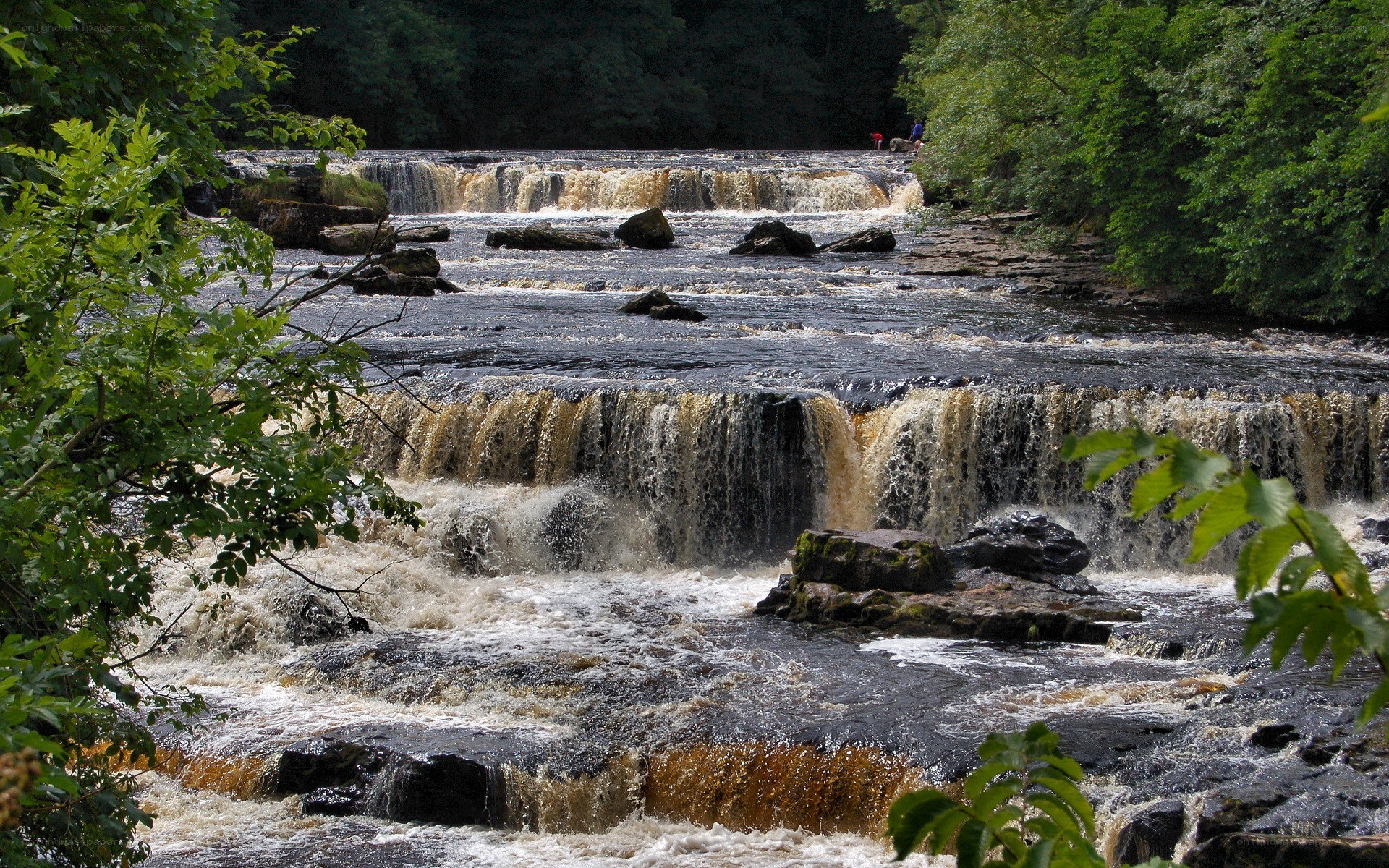 Waterfalls in a forested river