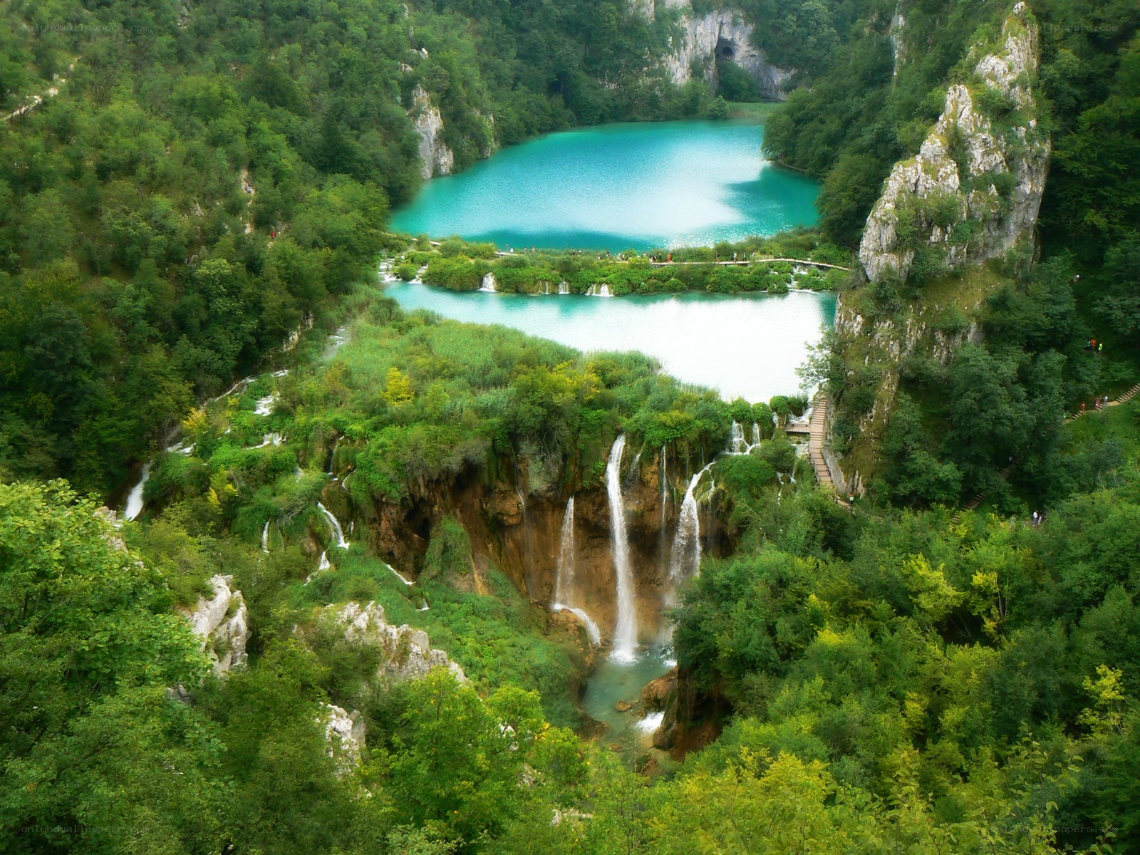 Waterfalls in a forested valley