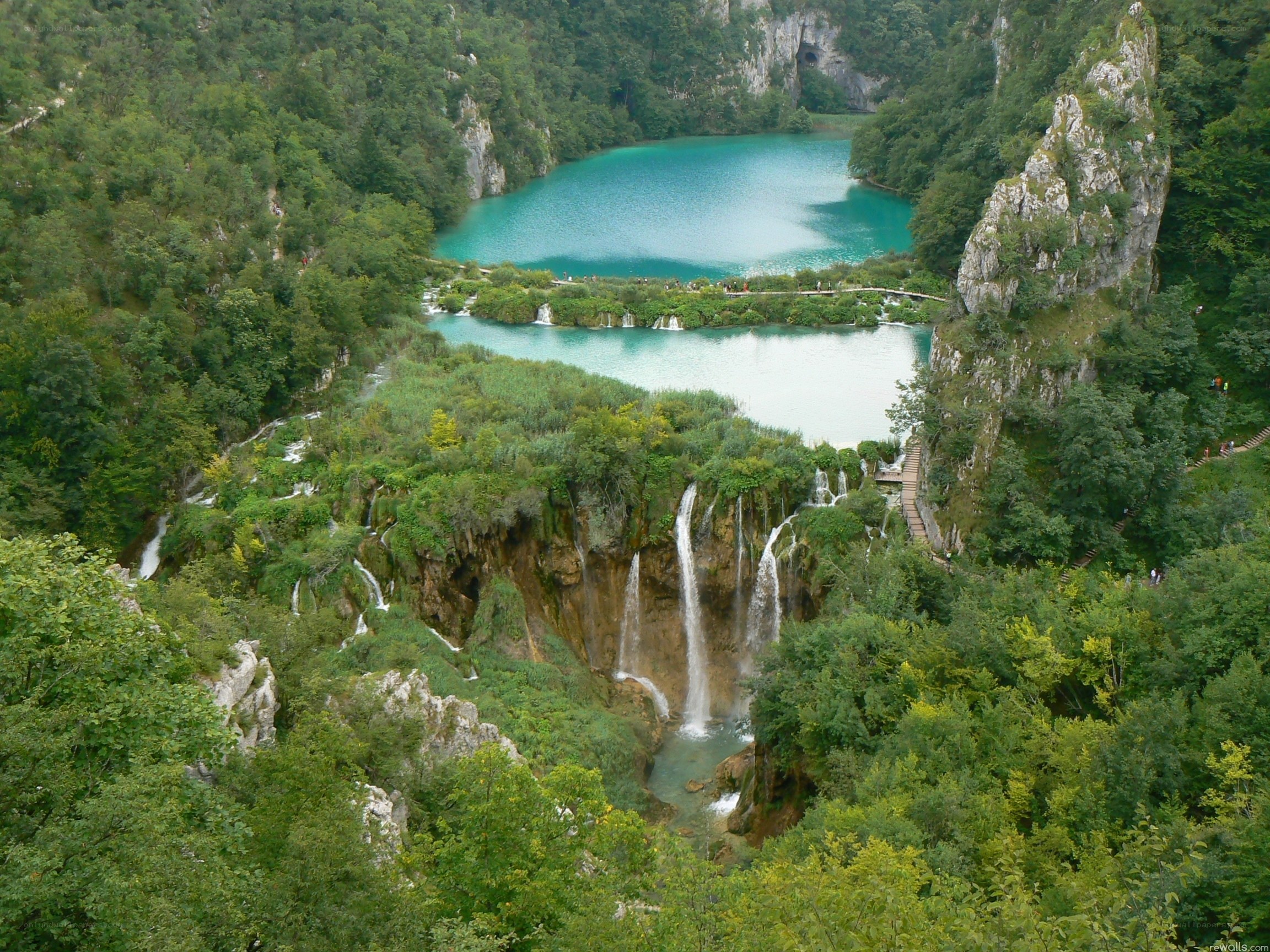 waterfalls in a forested valley