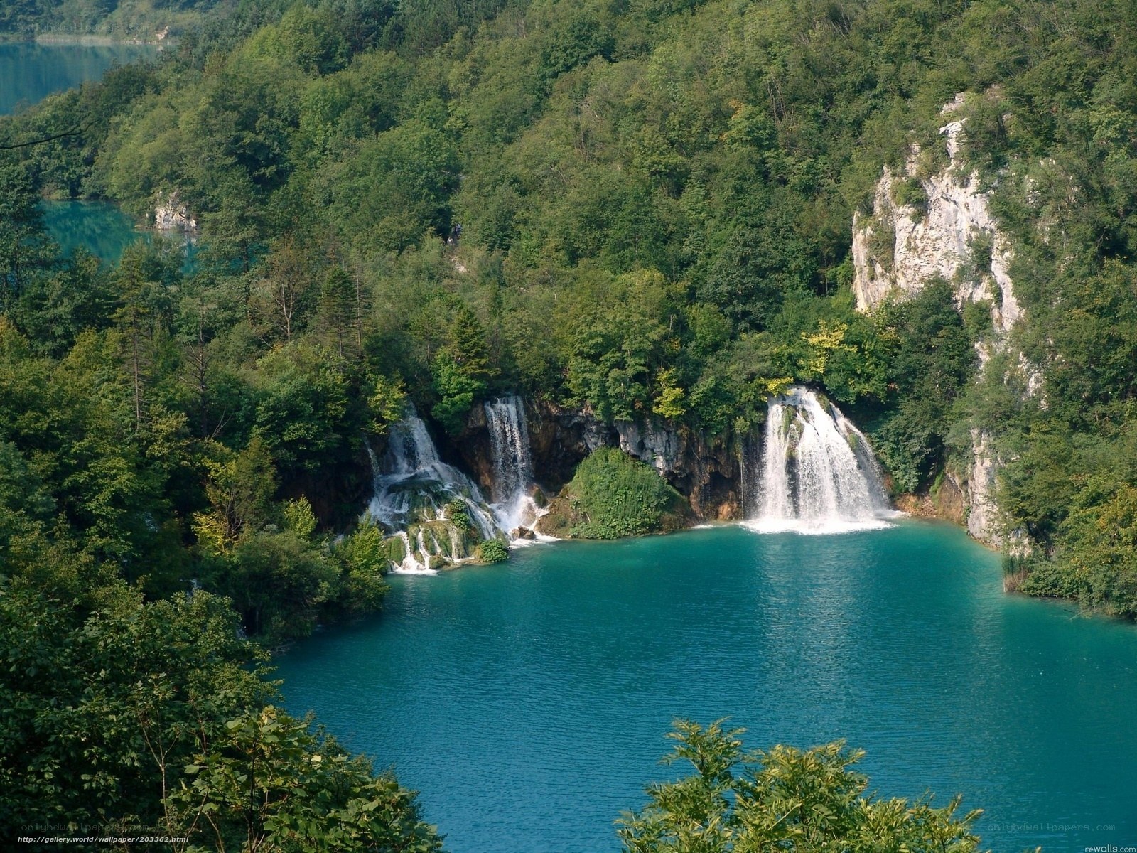 Waterfalls in a forested valley
