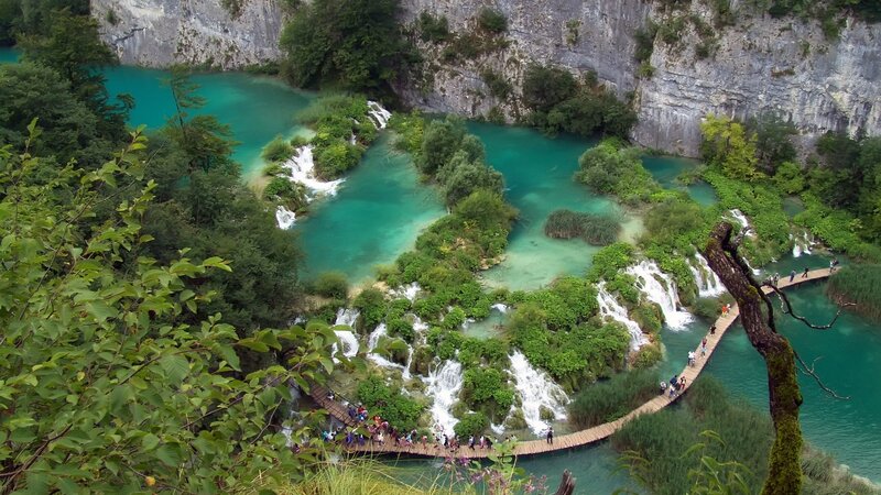 Waterfalls in a lush canyon