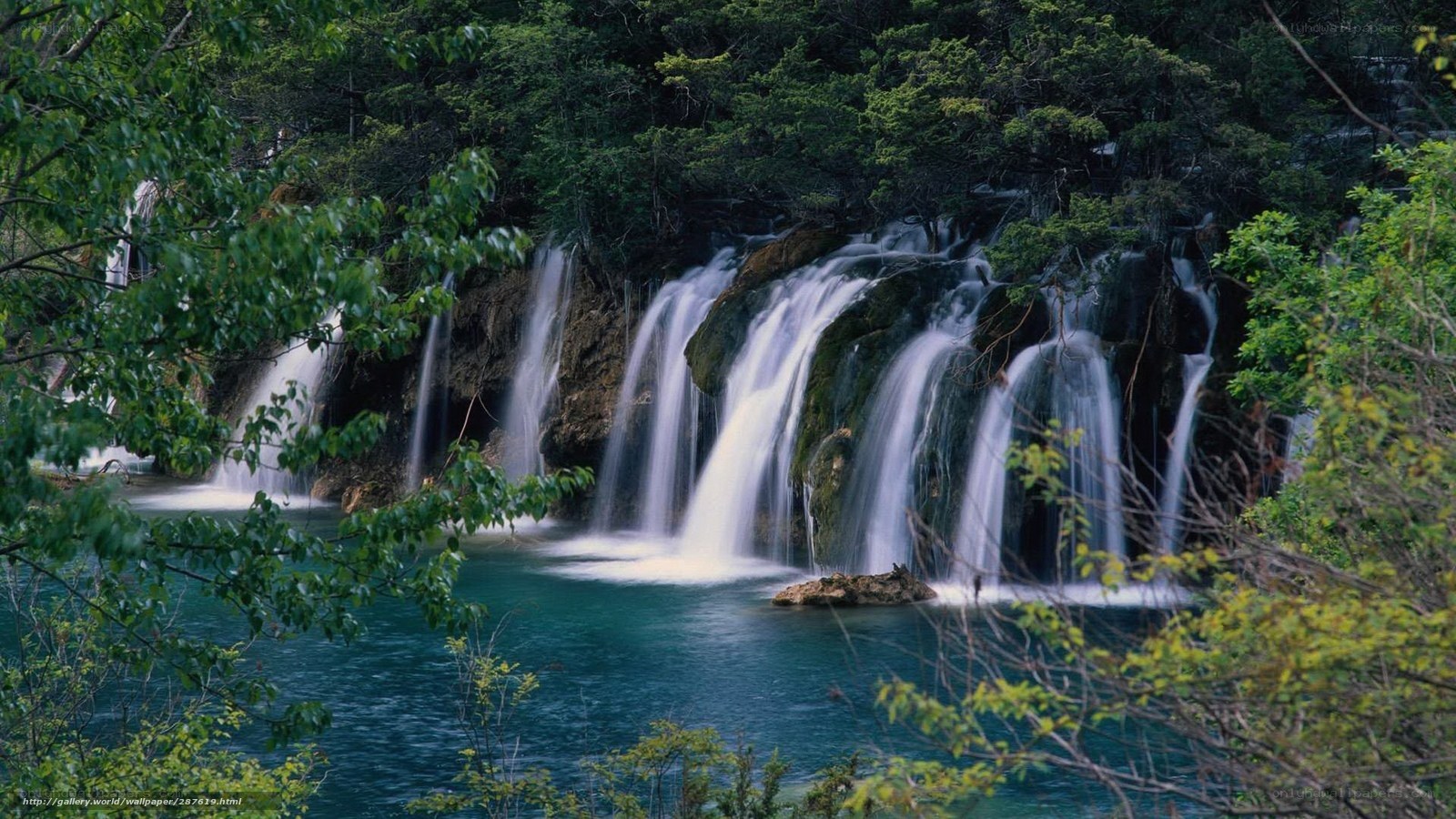 Waterfalls in a lush forest