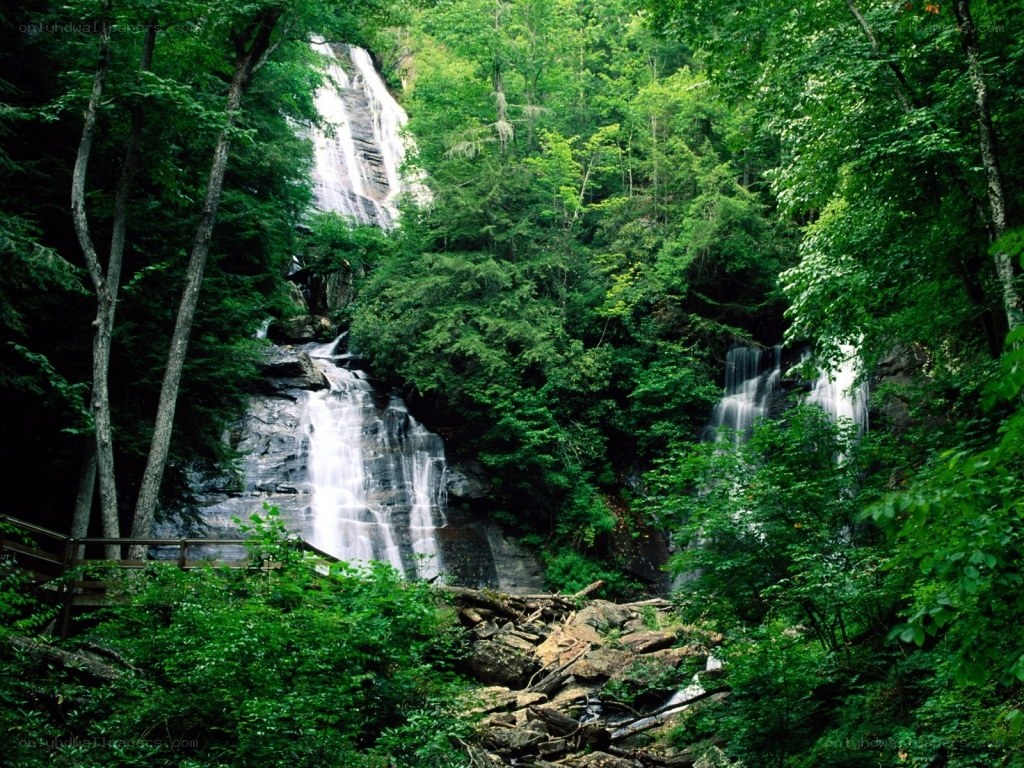 Waterfalls in a lush forest