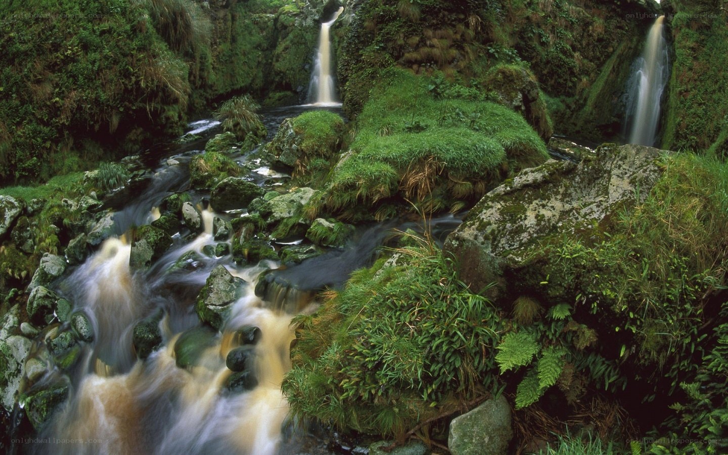 Waterfalls in a lush forest