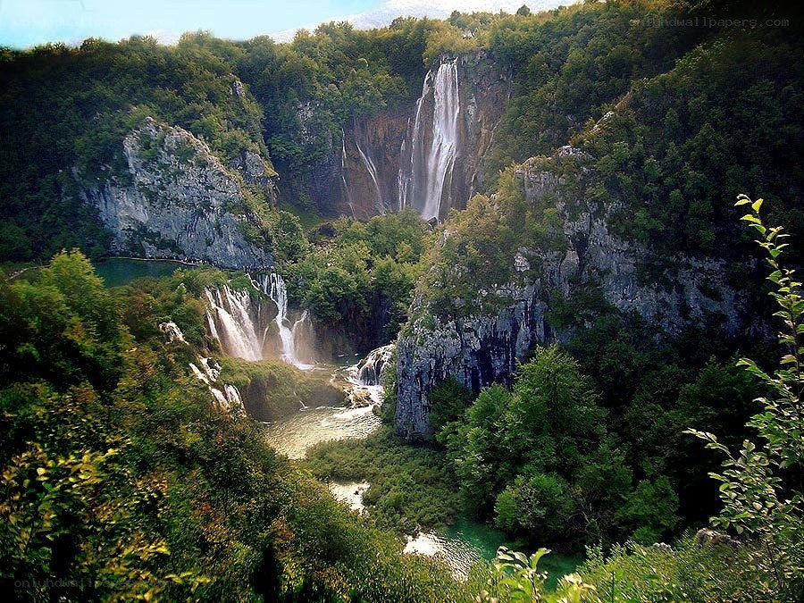 Waterfalls in a lush forest