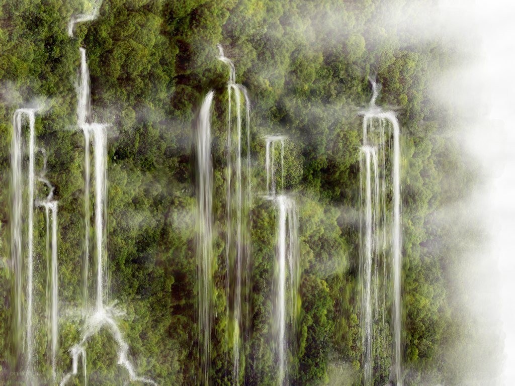 Waterfalls in a lush forest