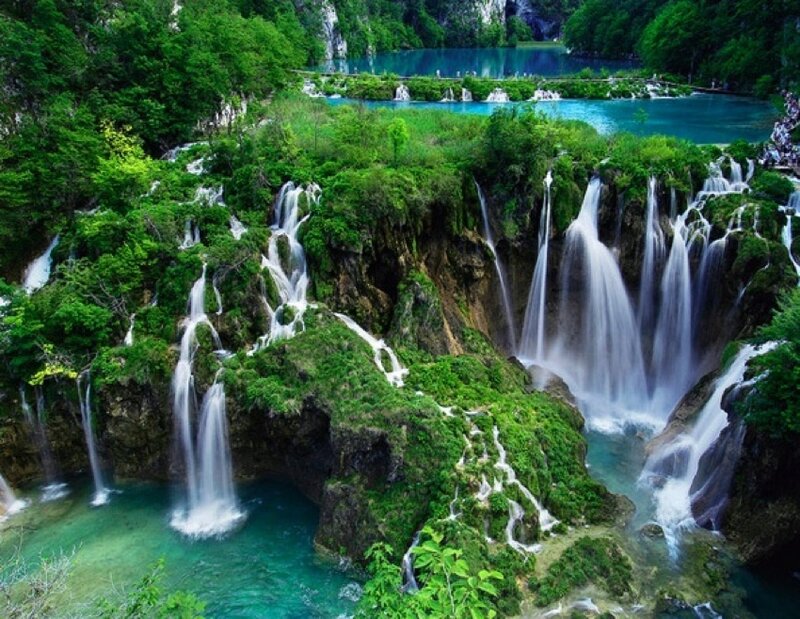 Waterfalls in a lush forest