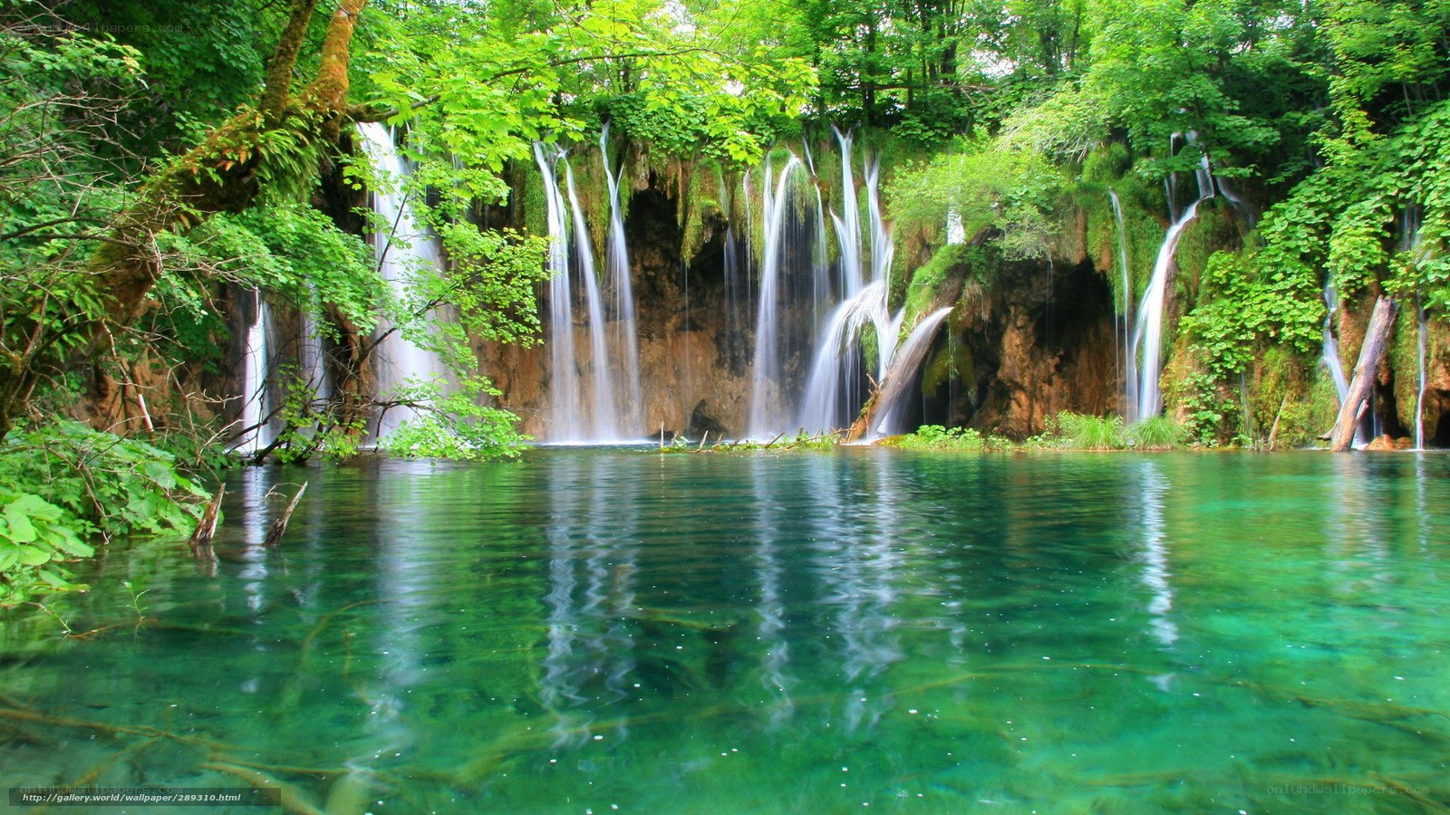 Waterfalls in a lush forest