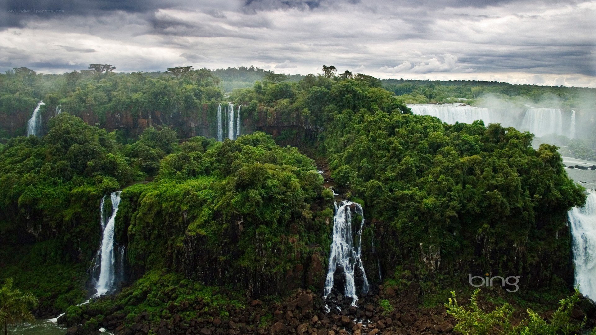 Waterfalls in a lush forest