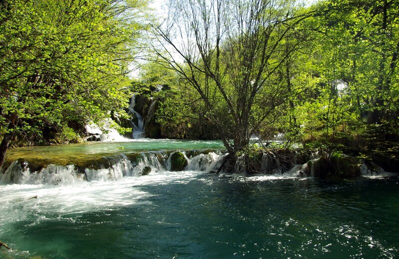 Waterfalls in a lush forest