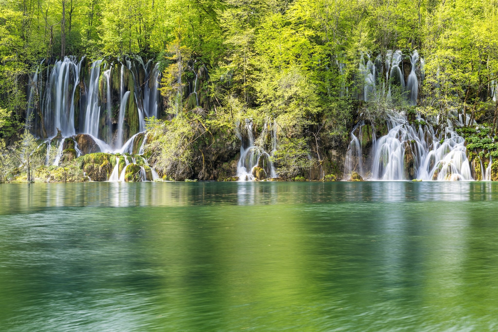 Waterfalls in a lush forest