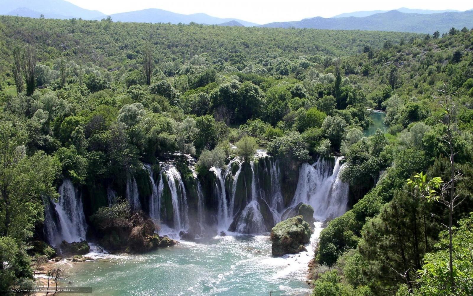 Waterfalls in a lush forest