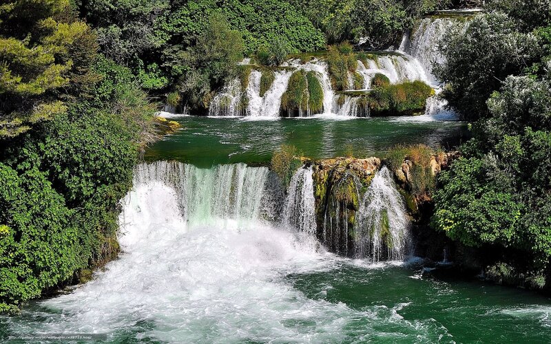 Waterfalls in a lush forest