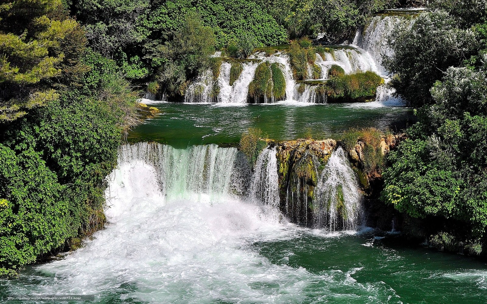 Waterfalls in a lush forest