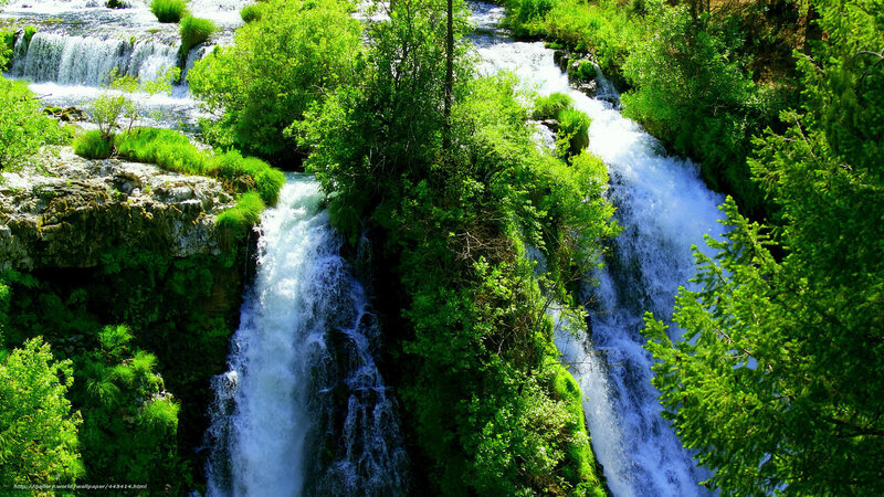 Waterfalls in a lush forest
