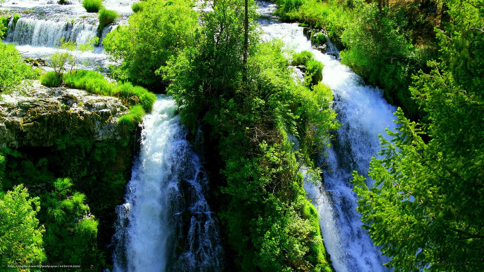Waterfalls in a lush forest
