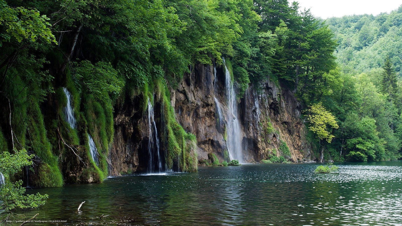 Waterfalls in a lush forest