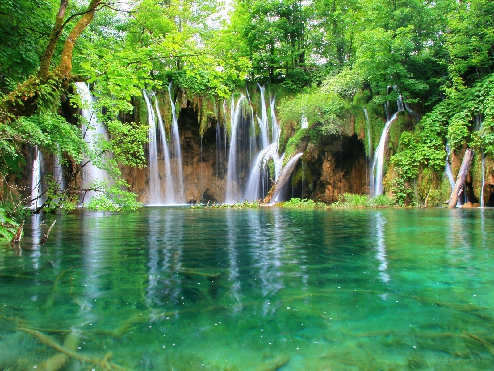 Waterfalls in a lush forest