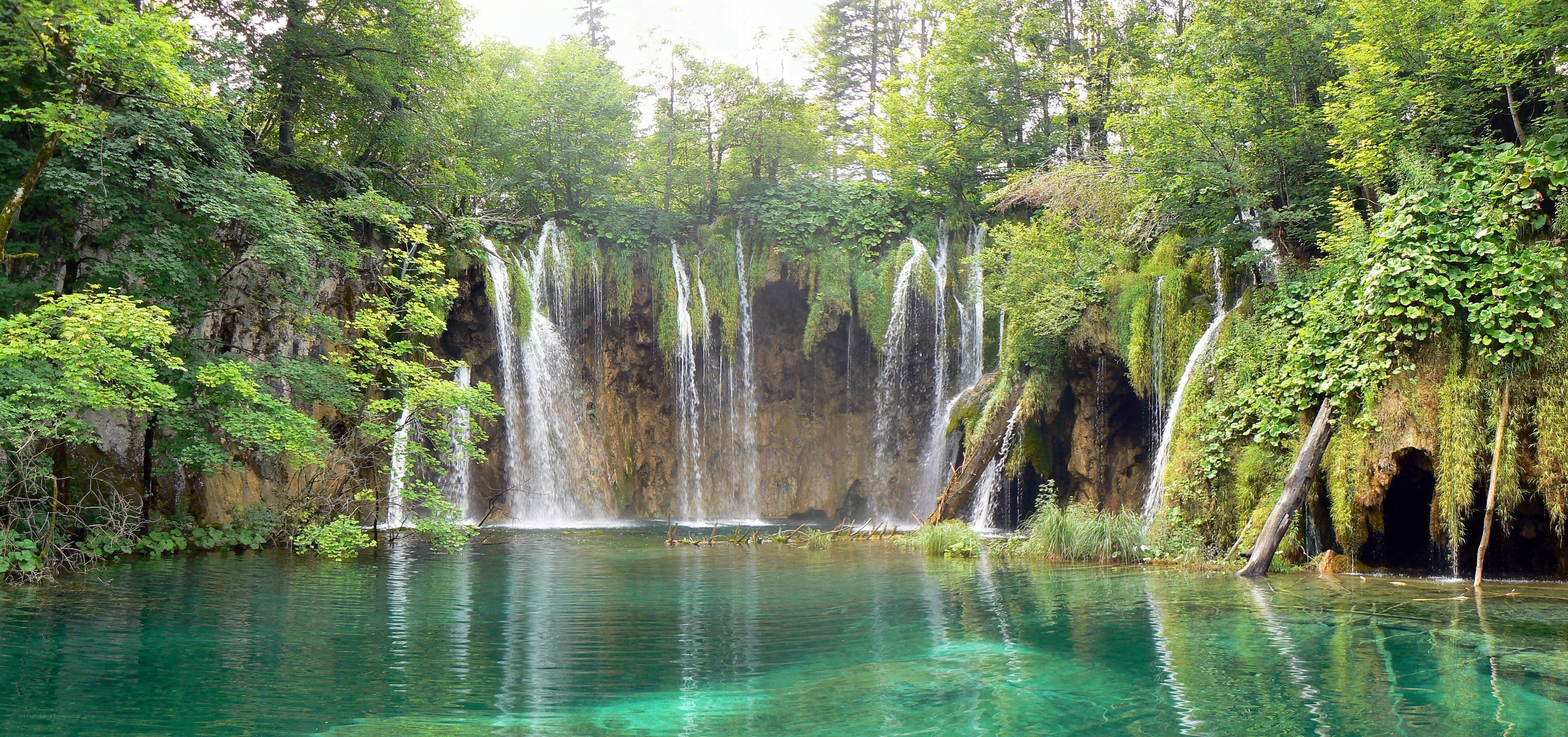 Waterfalls in a lush forest