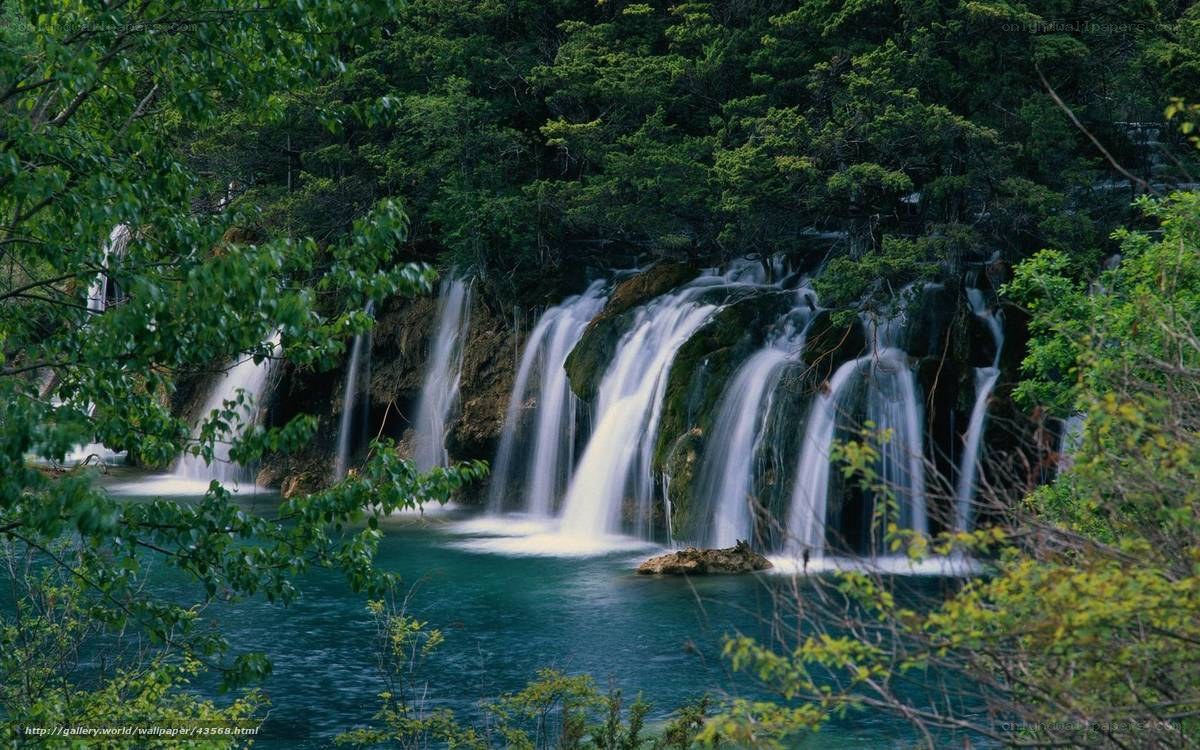 Waterfalls in a lush forest