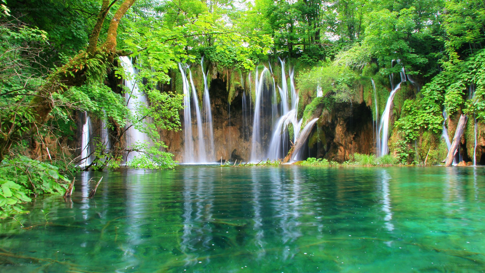 Waterfalls in a lush forest