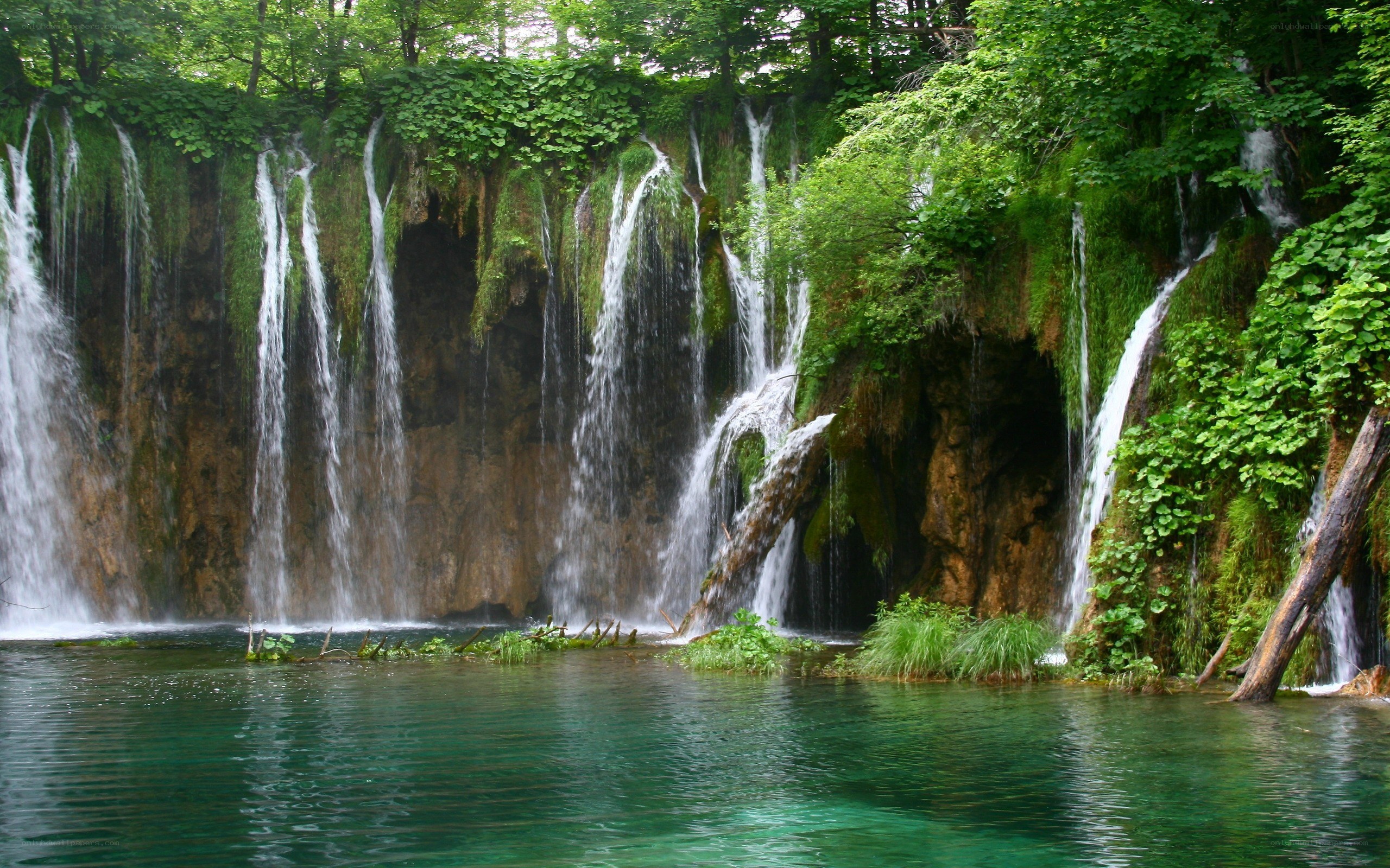Waterfalls in a lush forest