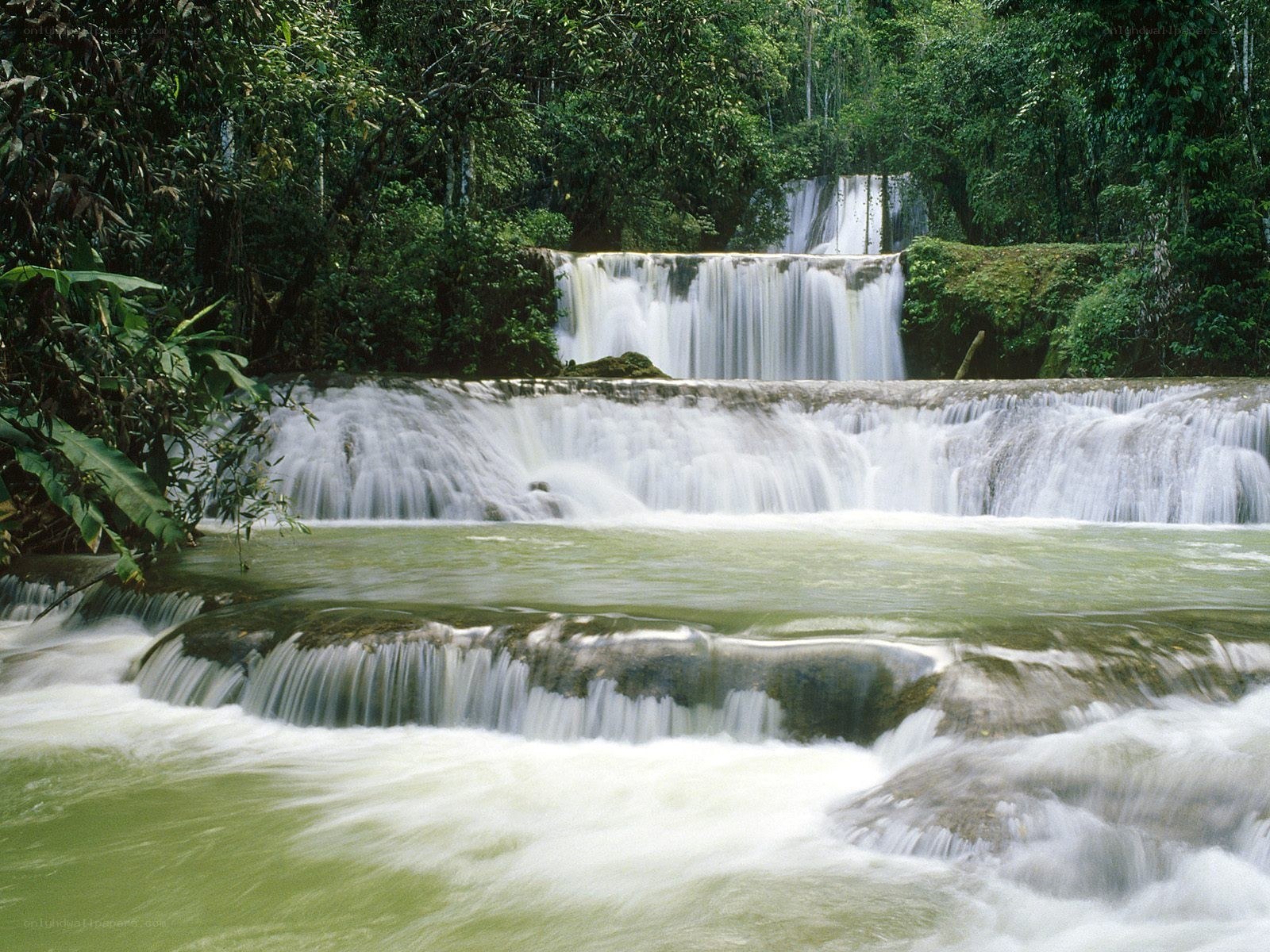 Waterfalls in a lush forest
