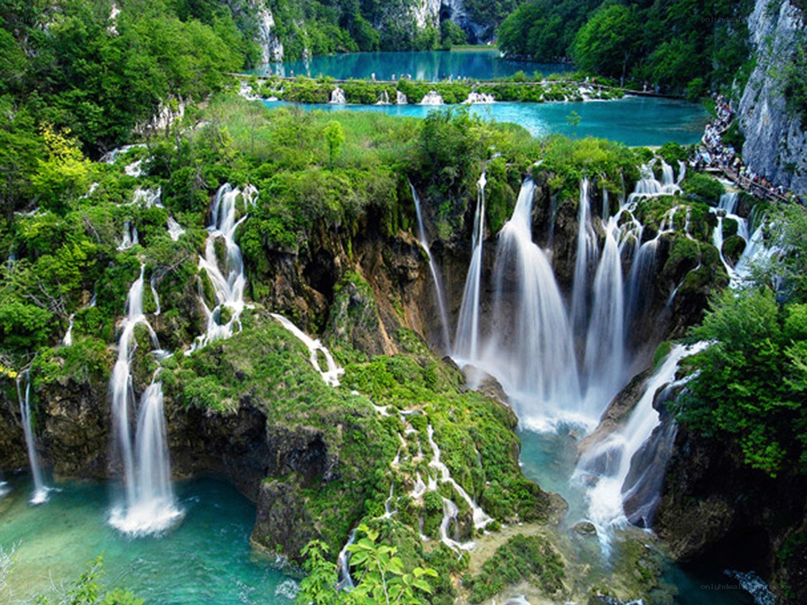 Waterfalls in a lush forest