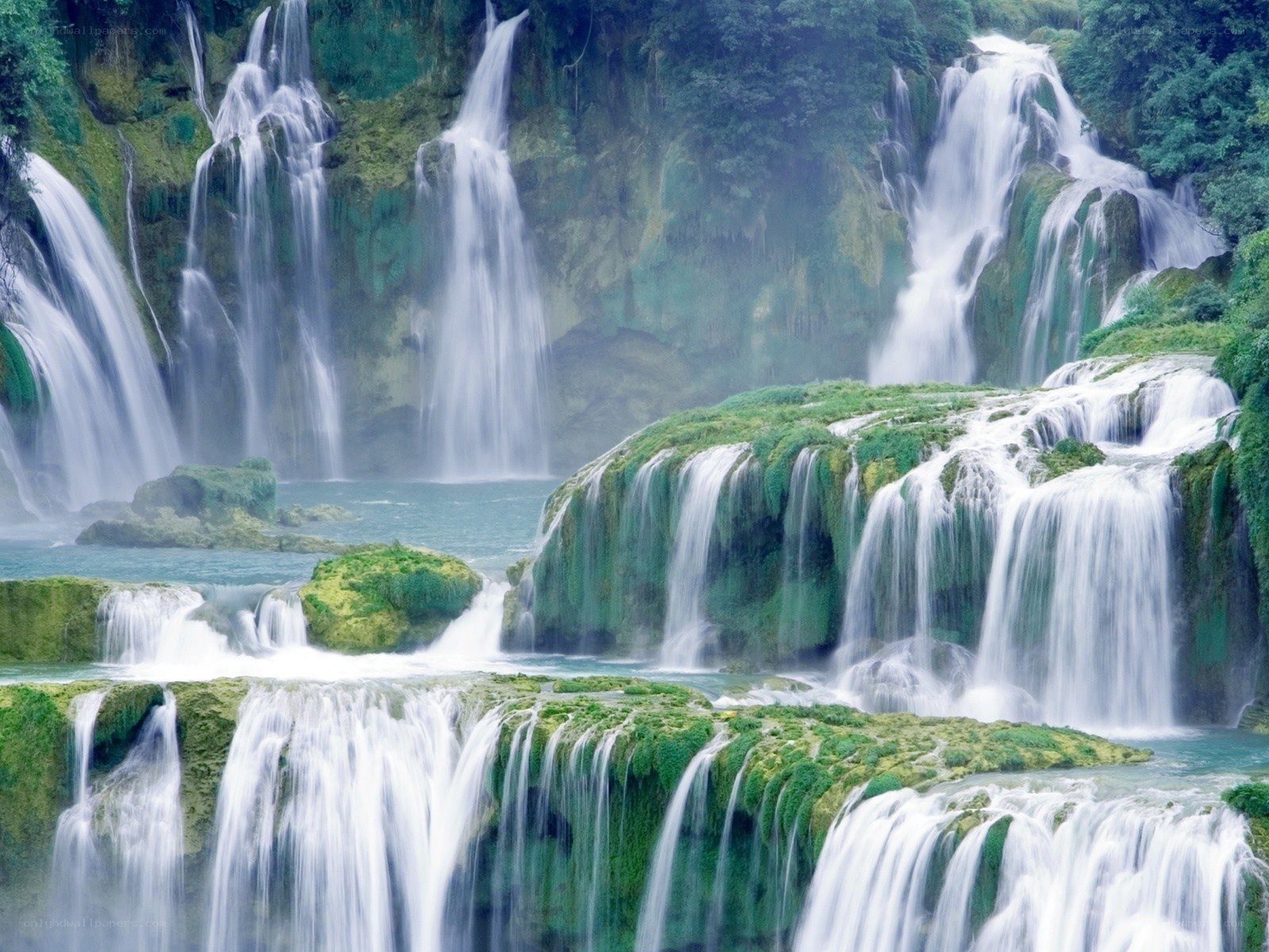 Waterfalls in a lush forest