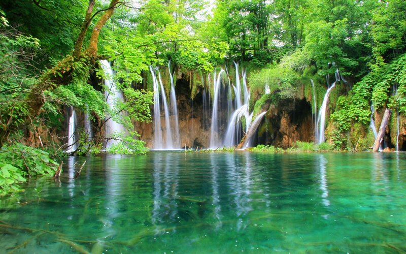 Waterfalls in a lush forest