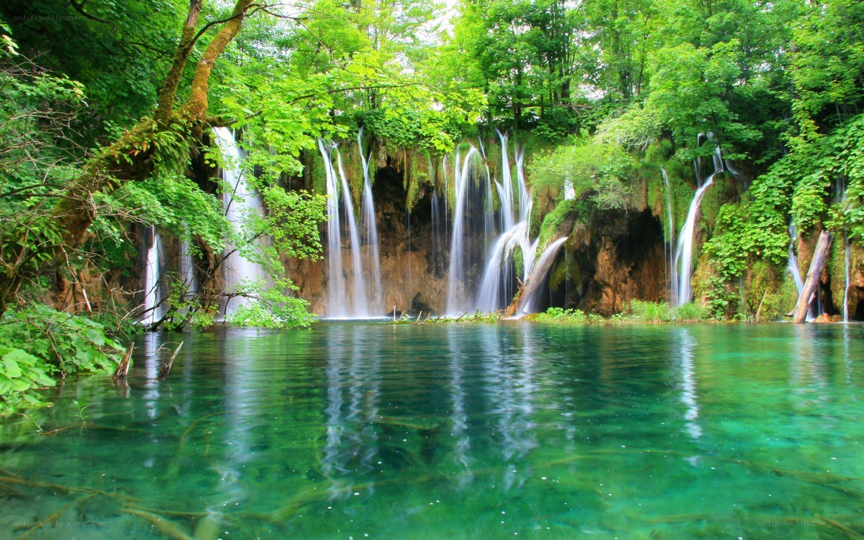 Waterfalls in a lush forest