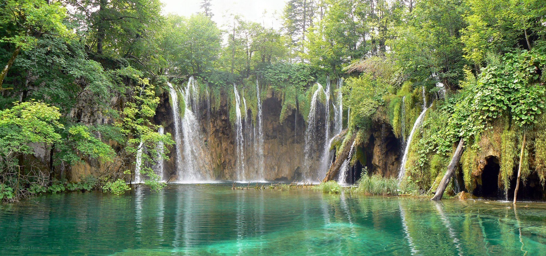 Waterfalls in a lush forest