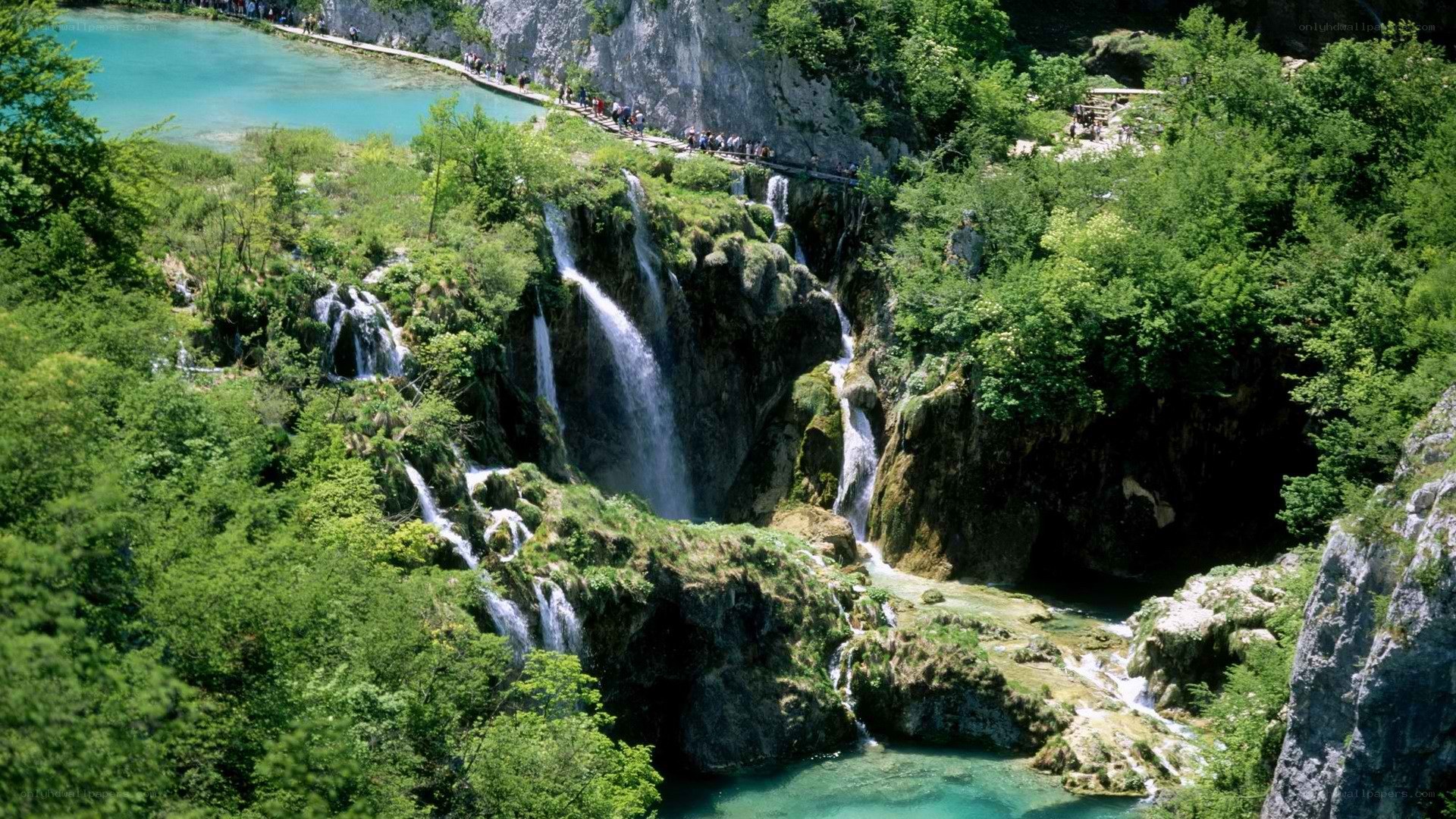 Waterfalls in a lush forest