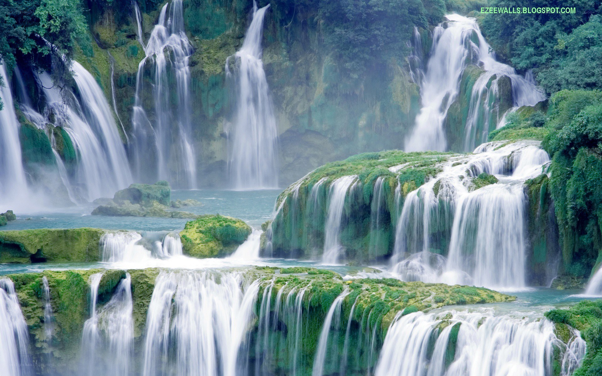 Waterfalls in a lush forest