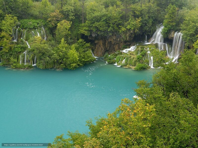 Waterfalls in a lush forest