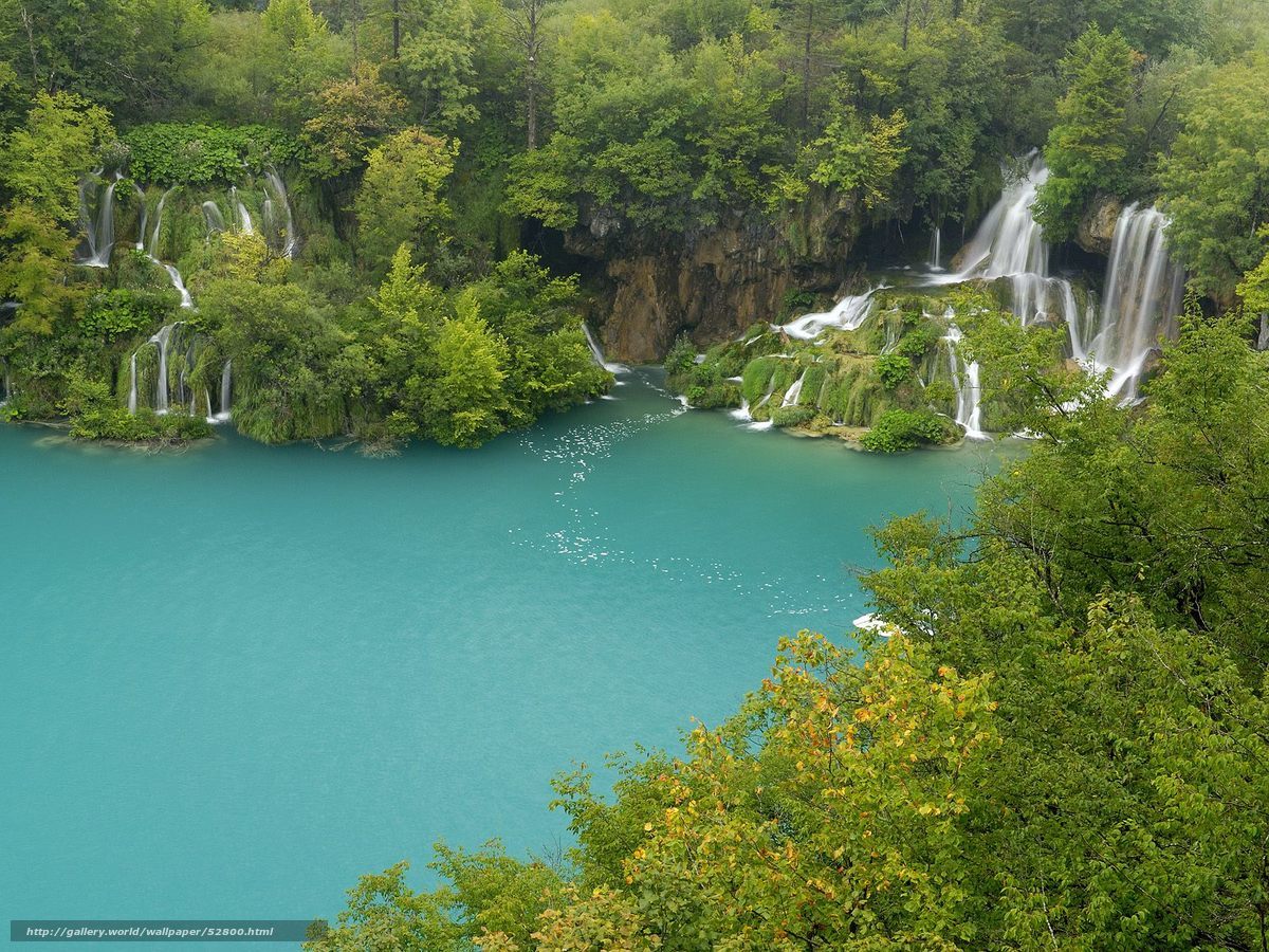Waterfalls in a lush forest