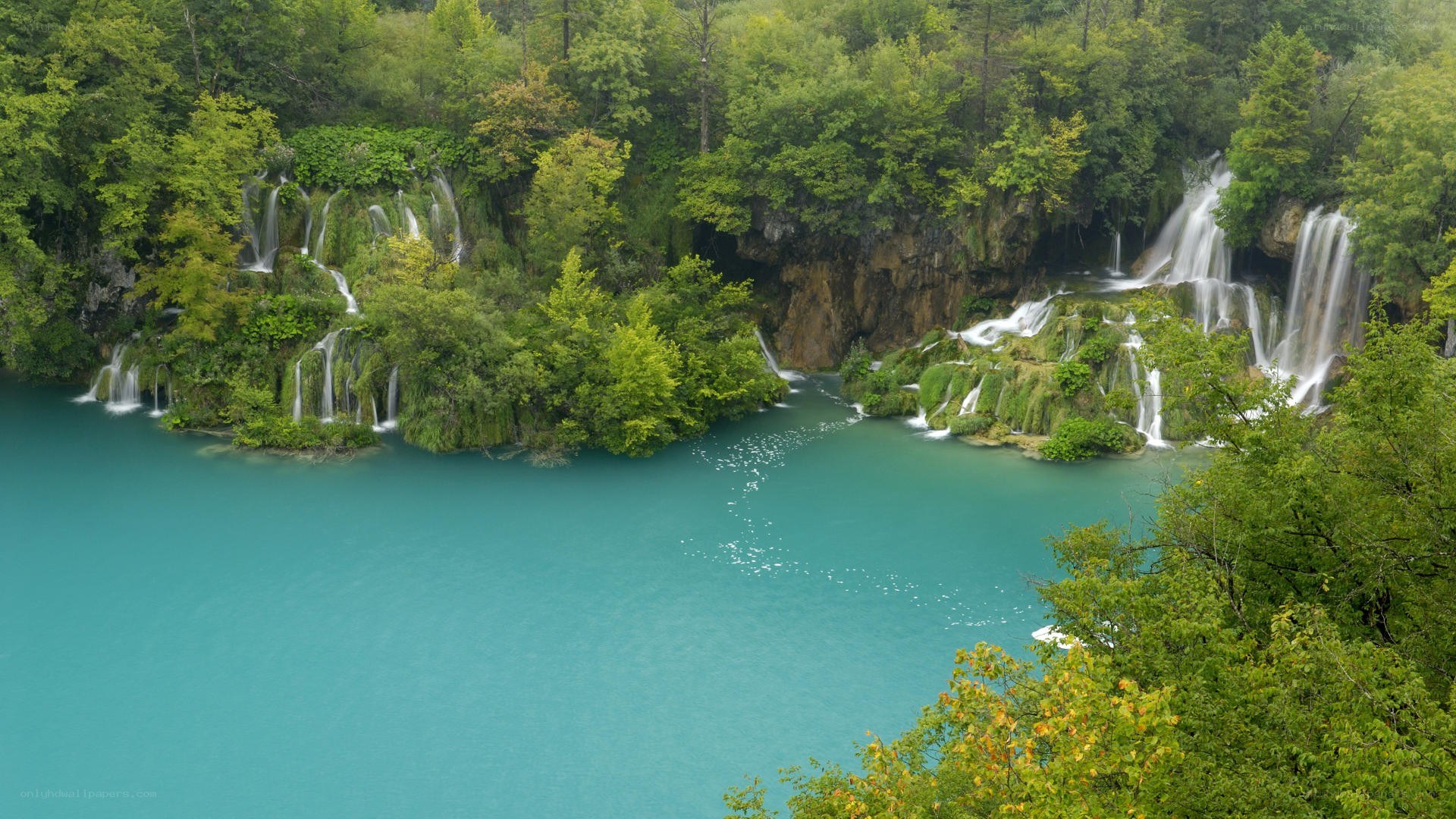 Waterfalls in a lush forest