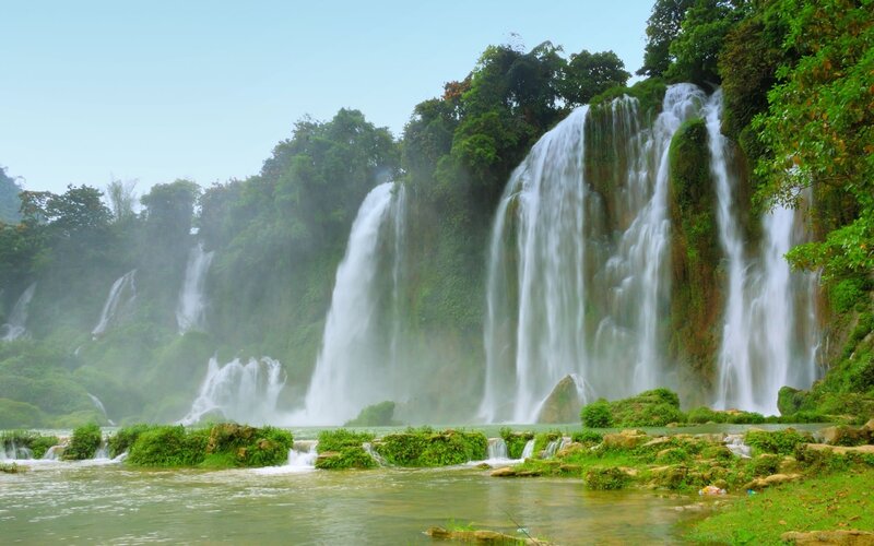 Waterfalls in a lush forest