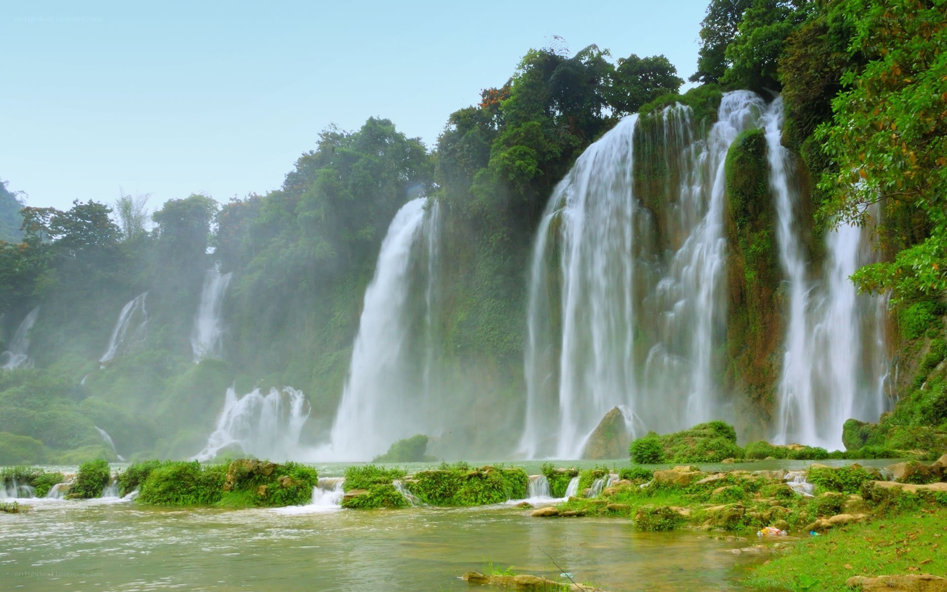 Waterfalls in a lush forest