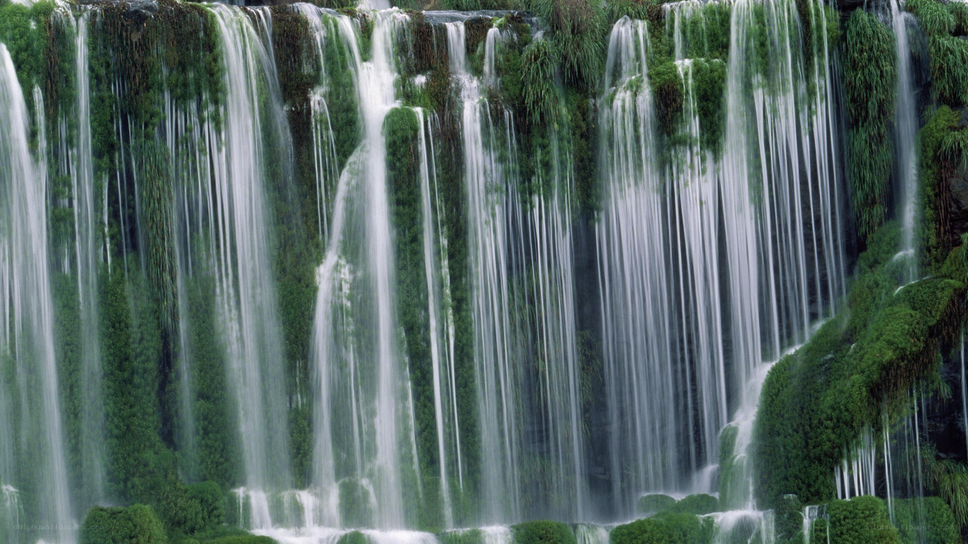 Waterfalls in a lush forest
