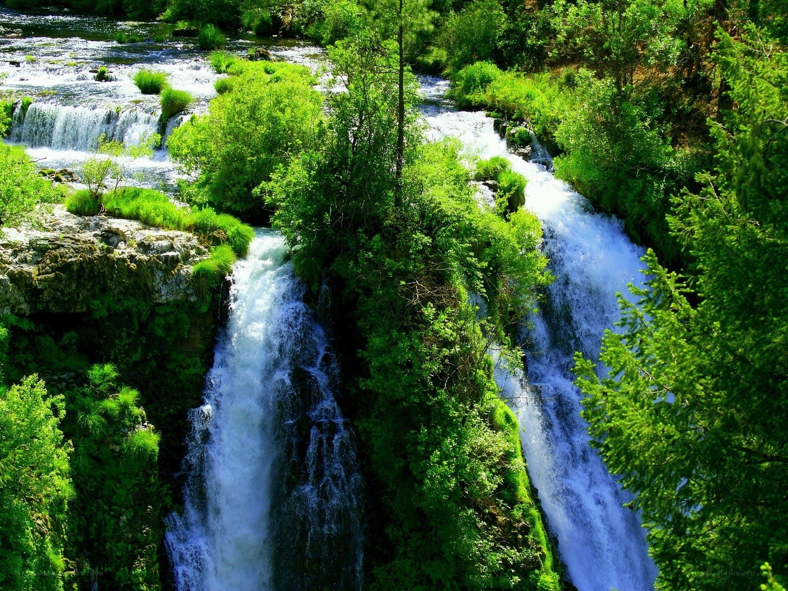Waterfalls in a lush forest