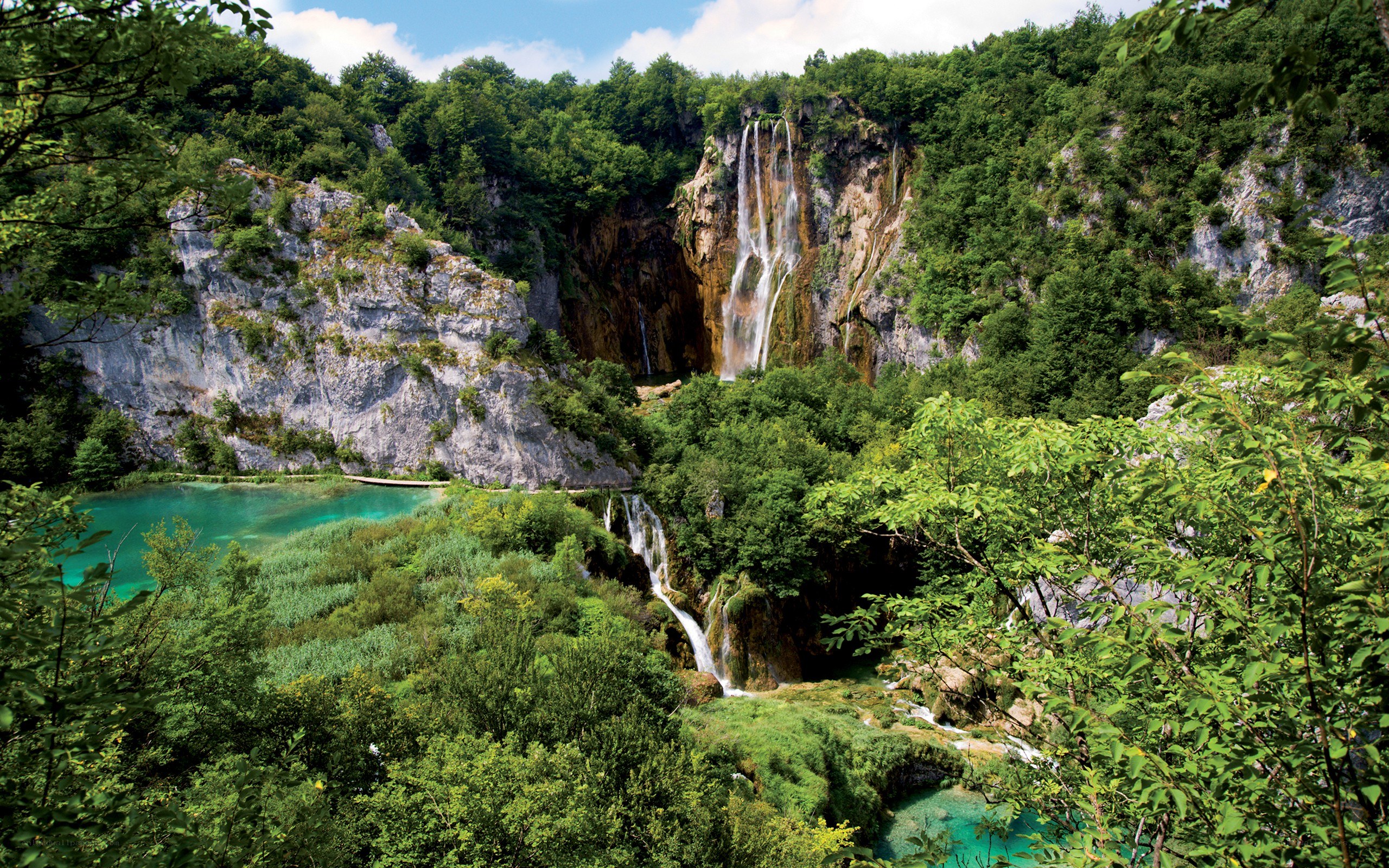 Waterfalls in a lush forest