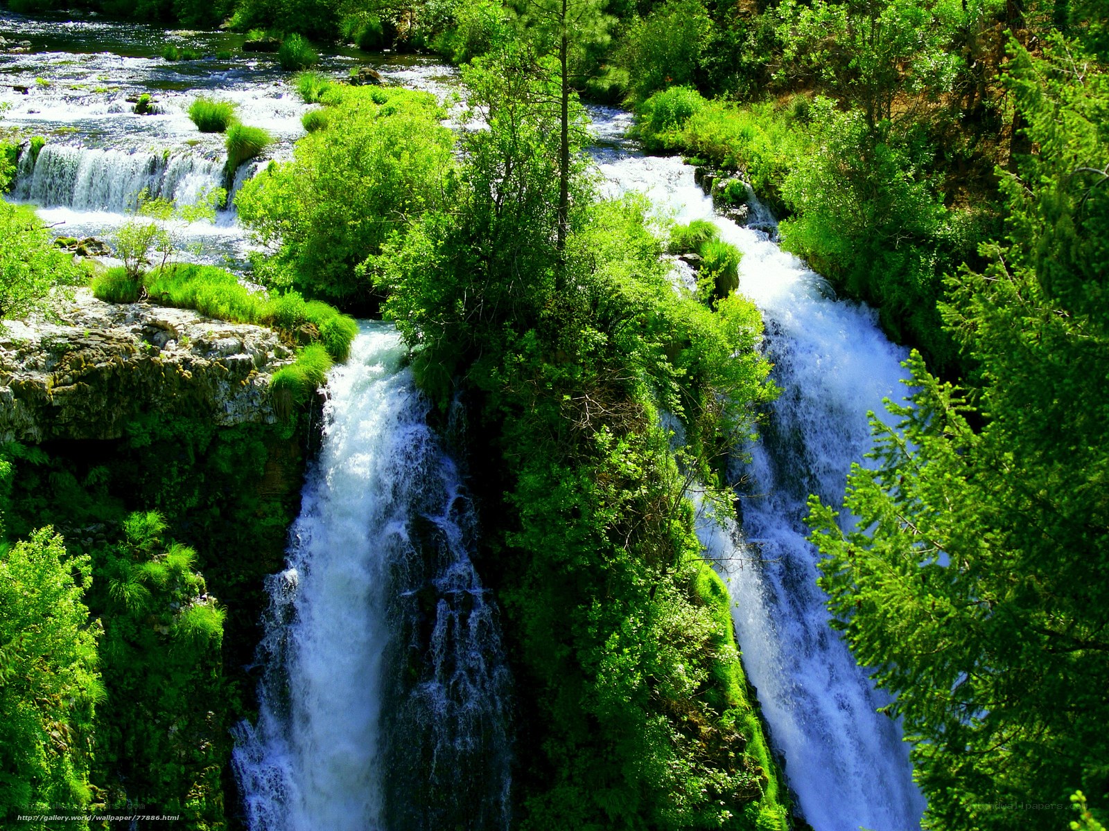 Waterfalls in a lush forest
