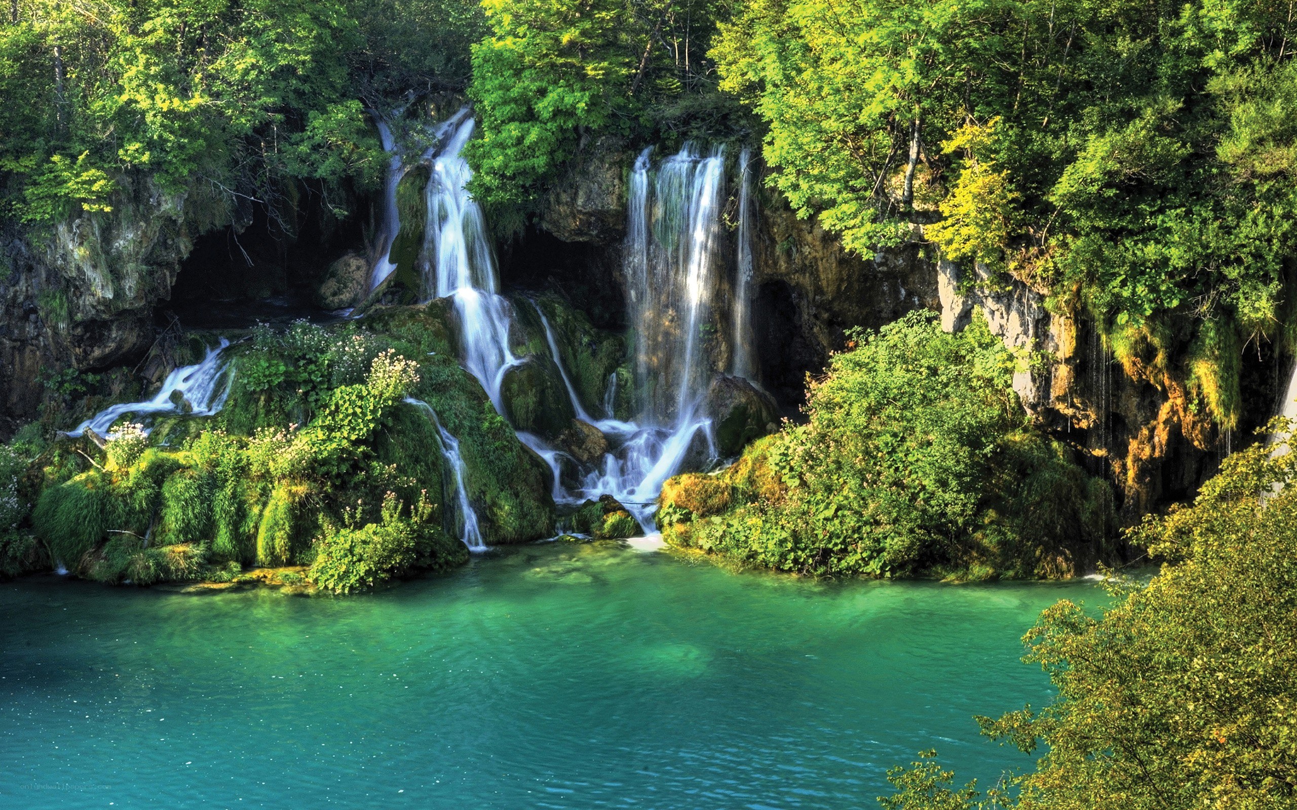 Waterfalls in a lush forest