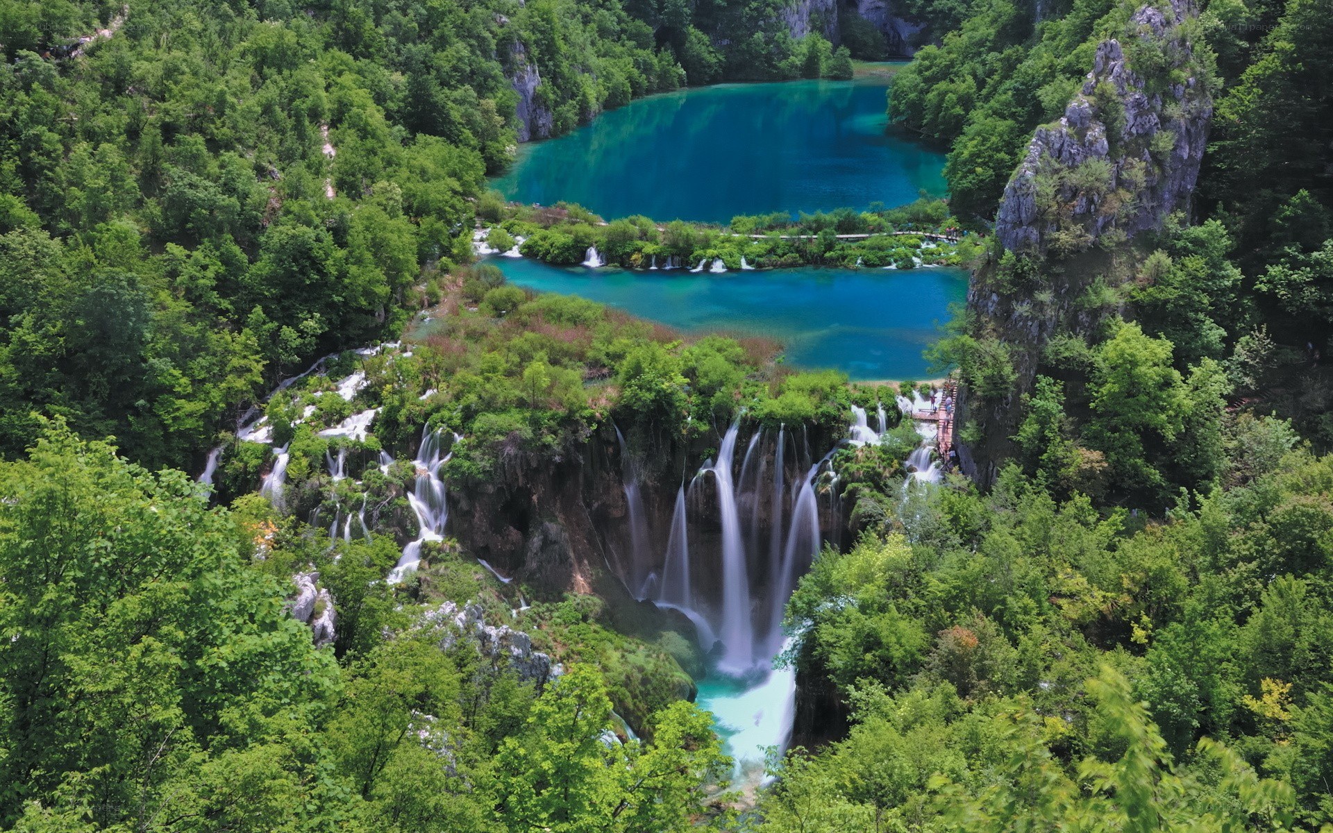 Waterfalls in a lush forest