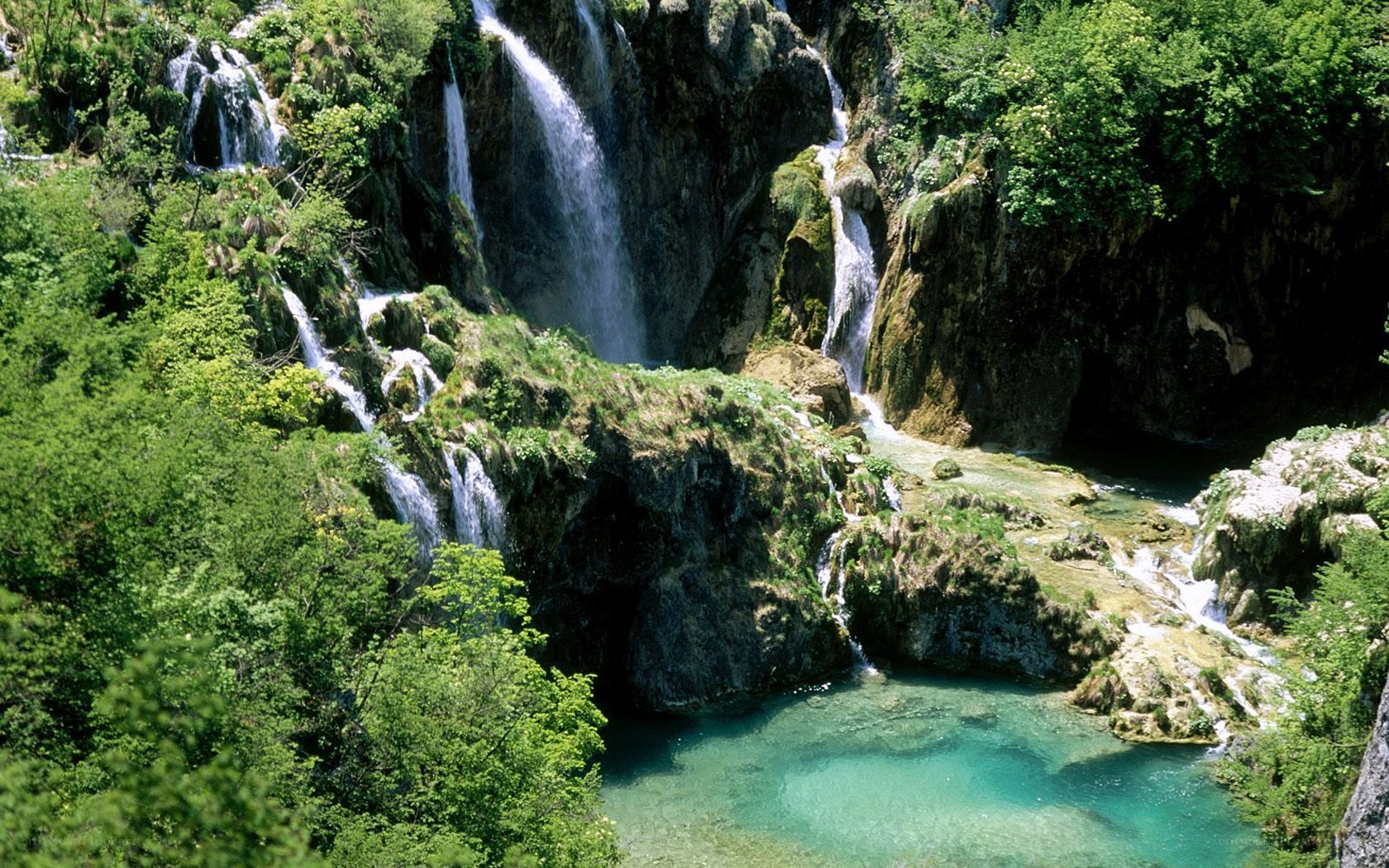 Waterfalls in a lush forest