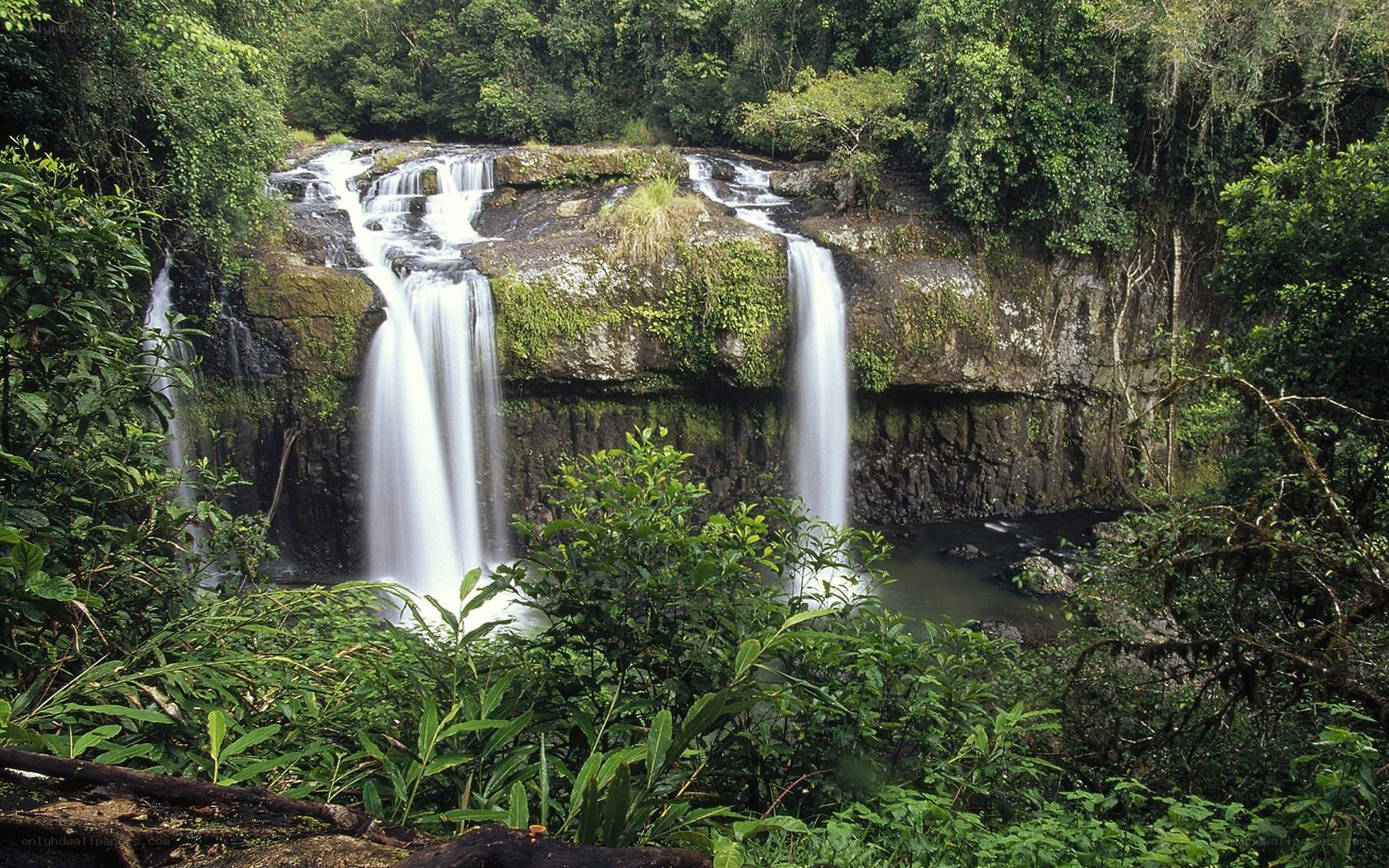 Waterfalls in a lush forest