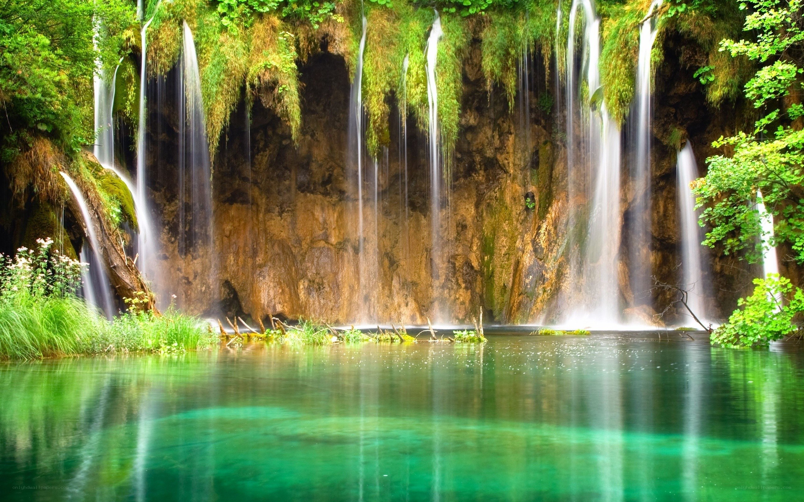 Waterfalls in a lush forest