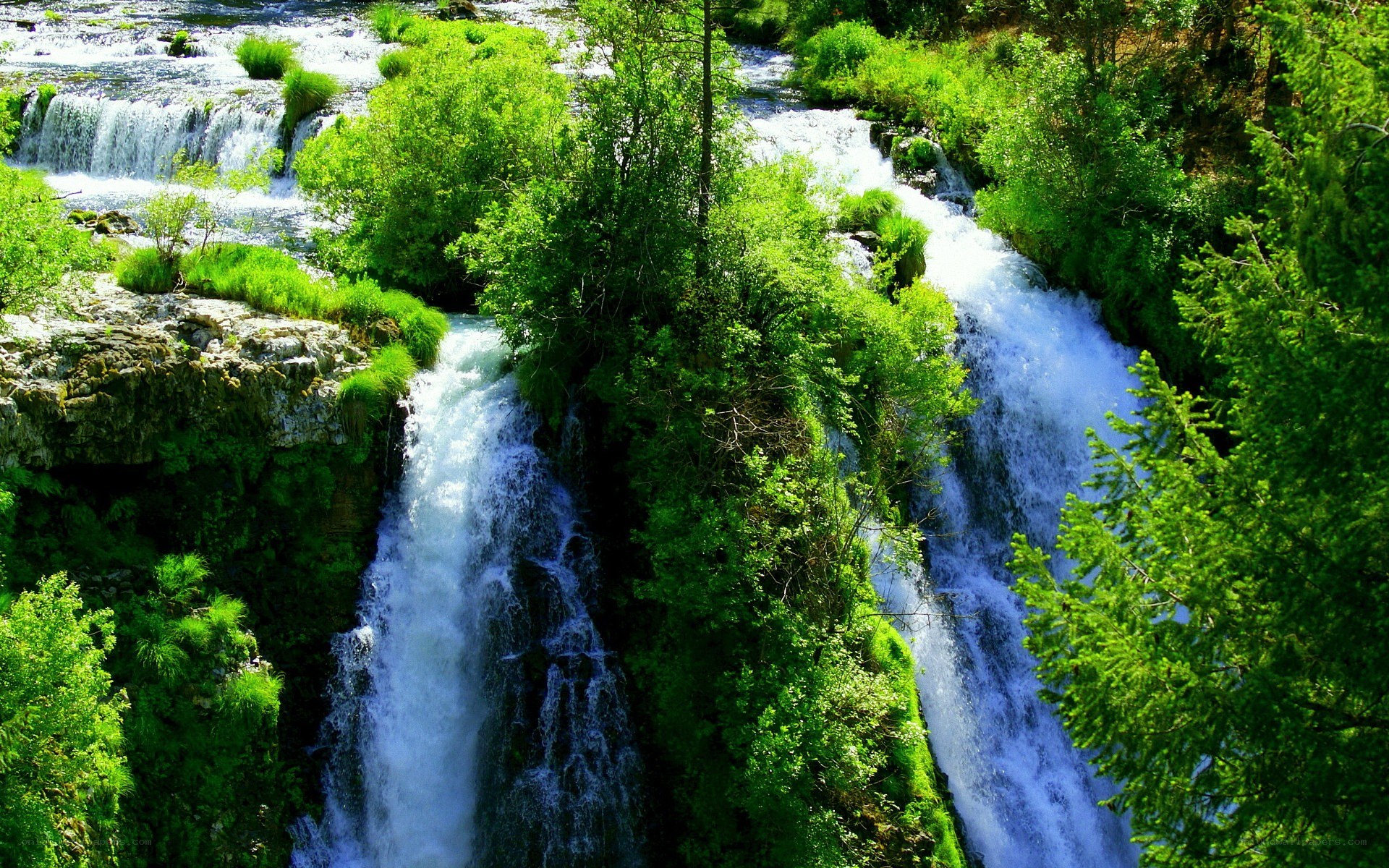 Waterfalls in a lush forest